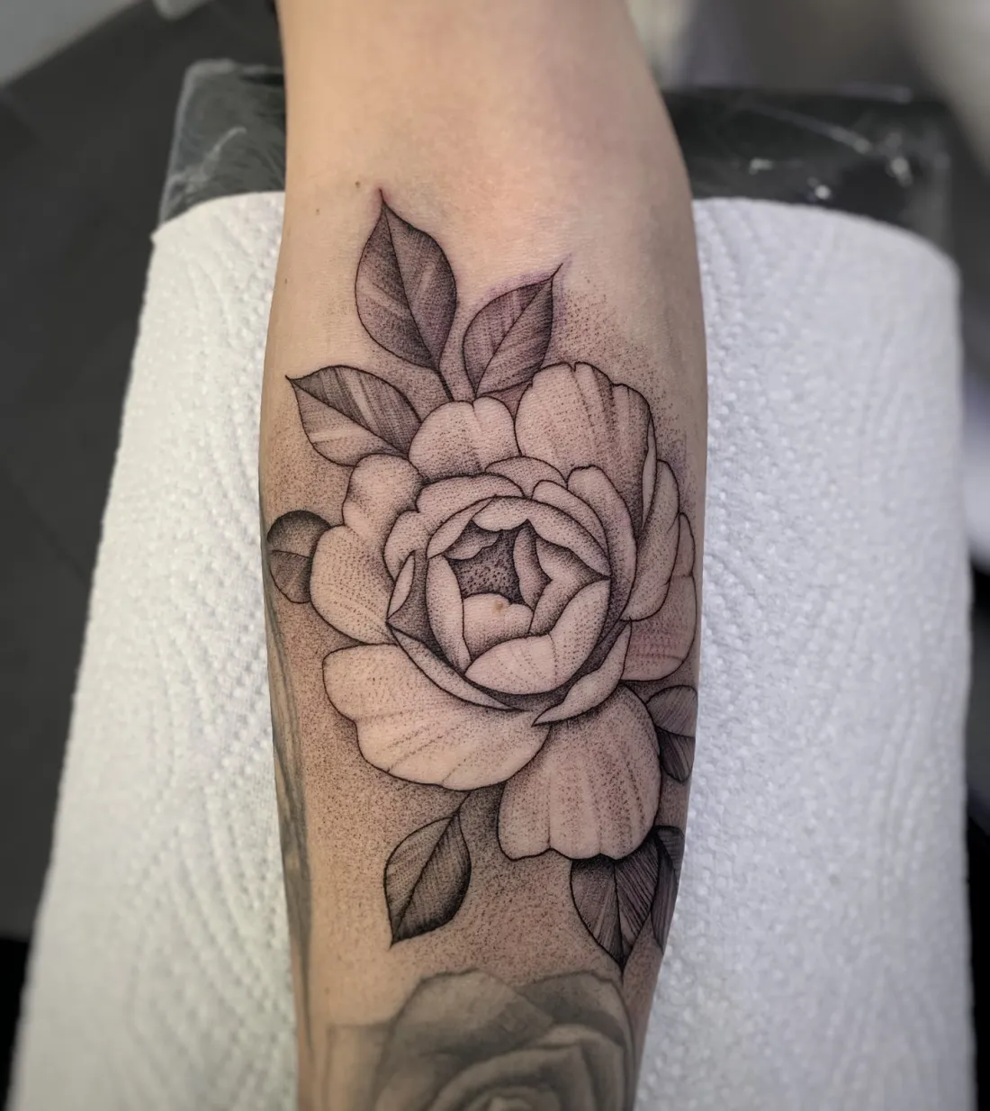 Pfingstrose mit Dotwork am Unterarm — Fine Line Tattoo von Alexander