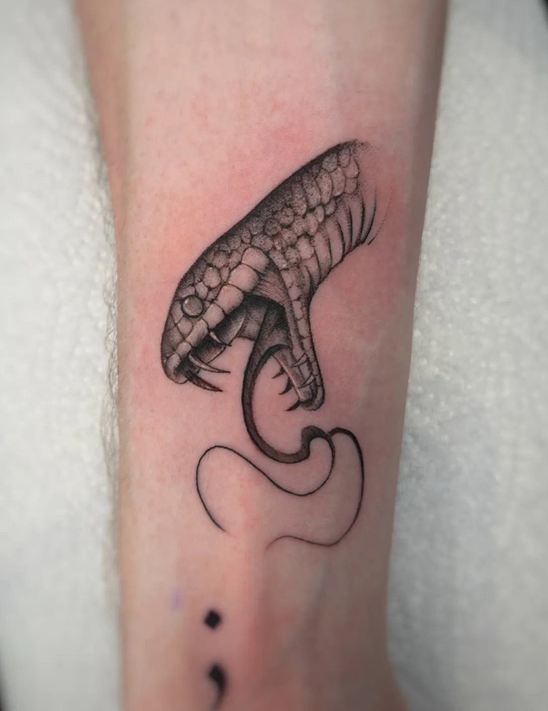 Schlangenkopf am Unterarm — Fine Line Tattoo von Alexander