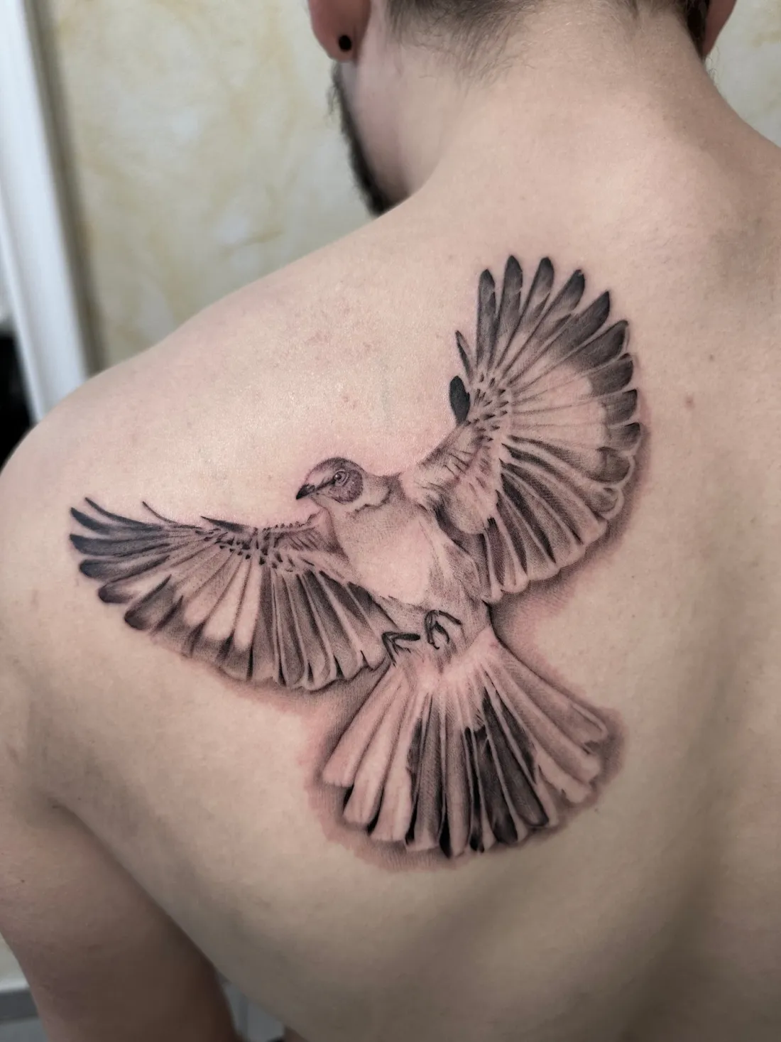 Fliegender Vogel auf Schulterblatt — Realismus Tattoo von Marko